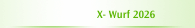 X- Wurf 2026